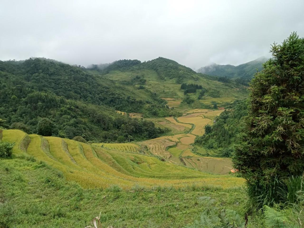 Bac Ha Charm Stay Экстерьер фото