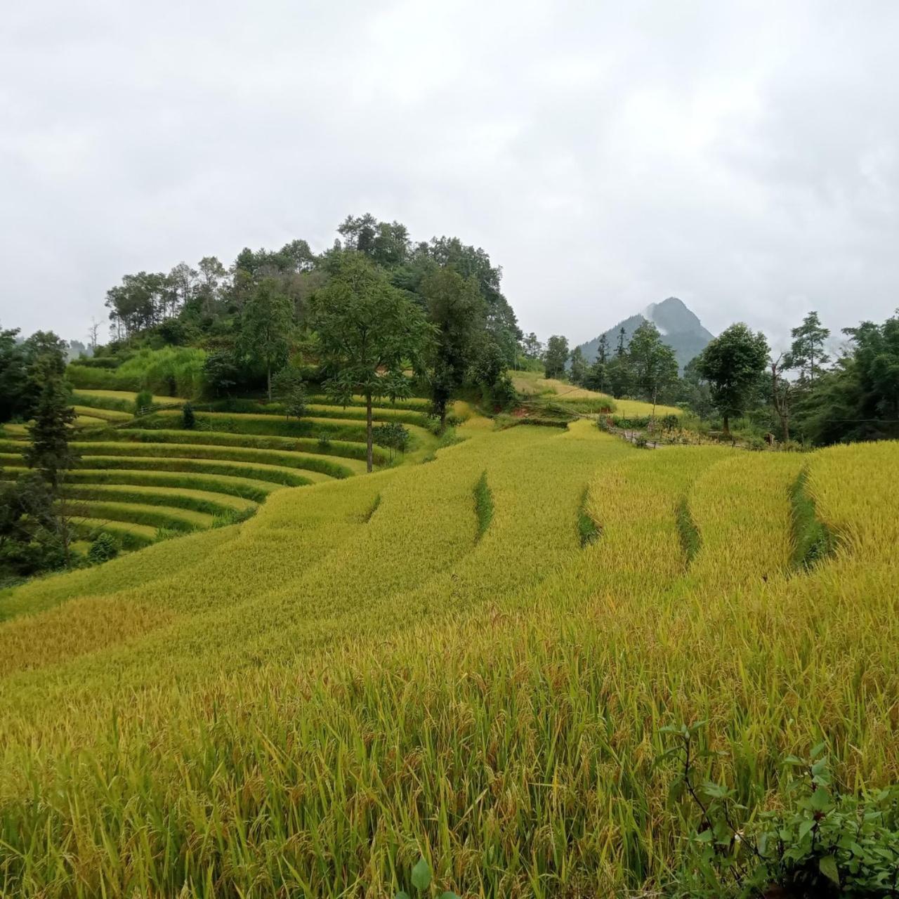 Bac Ha Charm Stay Экстерьер фото