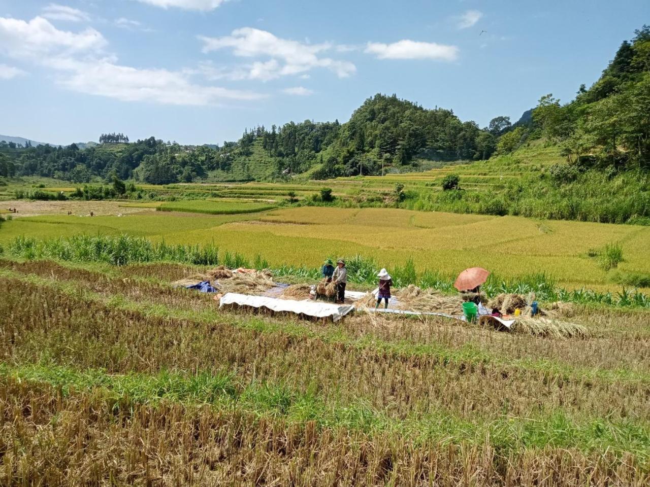 Bac Ha Charm Stay Экстерьер фото